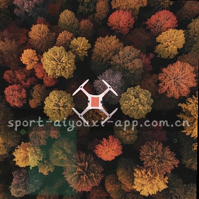 双方控球率饼图
